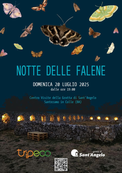 Notte delle Falene