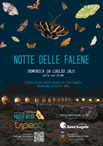 Notte delle Falene