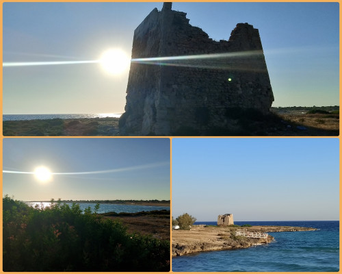 Tra la Torre e le dune: visita guidata storico-naturalistica sulla litoranea tarantina