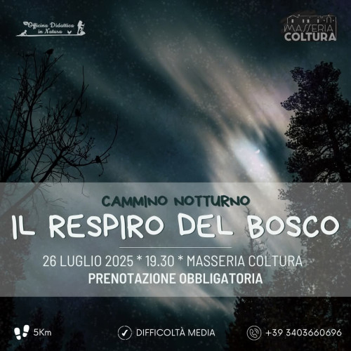 Il Respiro del Bosco