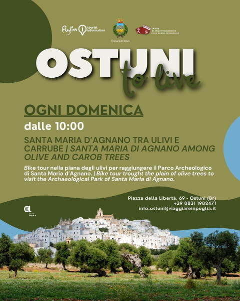 Santa Maria d'Agnano tra ulivi e carrube - Ostuni To Live