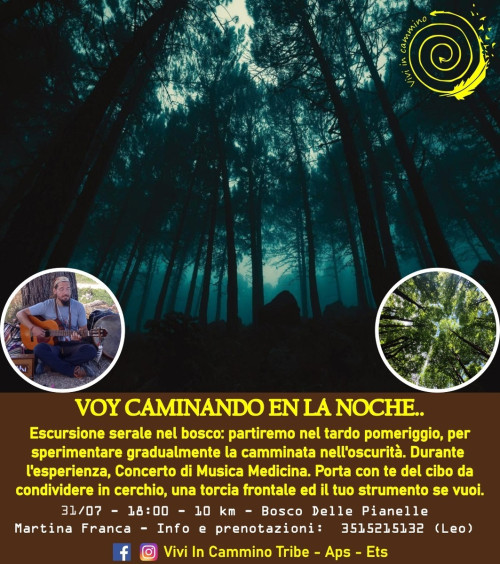Voy caminando en la noche, escursione serale nel bosco con Canti Medicina, trekking
