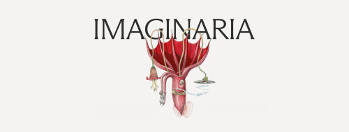 IMAGINARIA Festival Internazionale del Cinema d'Animazione d'Autore