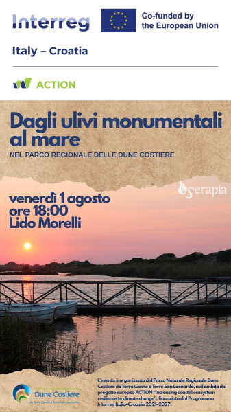 Dagli olivi monumentali al mare nel Parco Regionale delle Dune Costiere