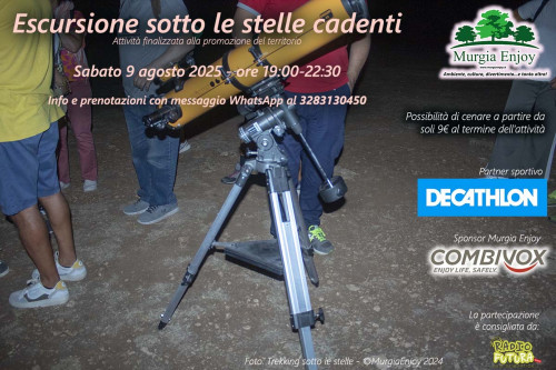 Escursione sotto le stelle cadenti