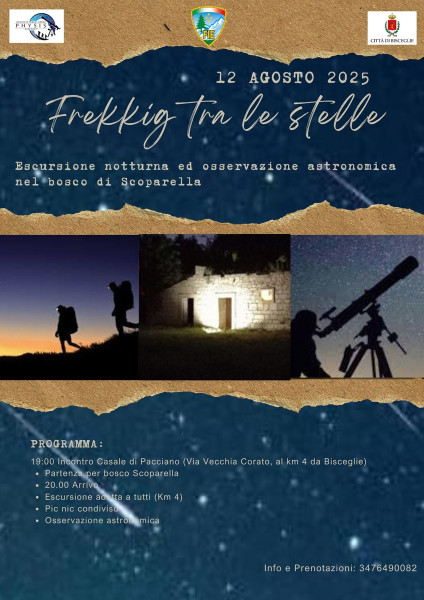 Trek tra le stelle