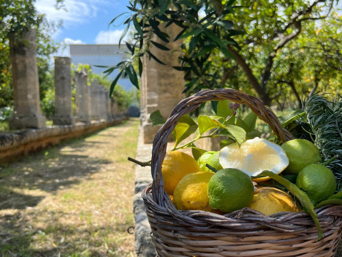 I frutti del Giardino Galderisi: scrigno di storia e biodiversità