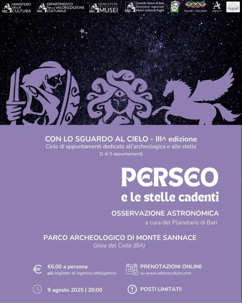 Con lo sguardo al cielo - Perseo e le stelle cadenti