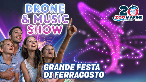 "Drone & Music Show"