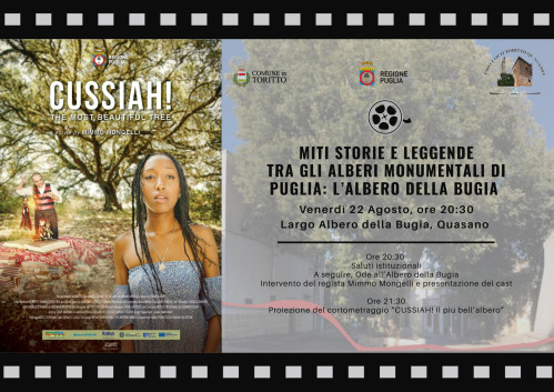 Miti storie e Leggende tra gli Alberi Monumentali di Puglia : l'Albero della Bugia