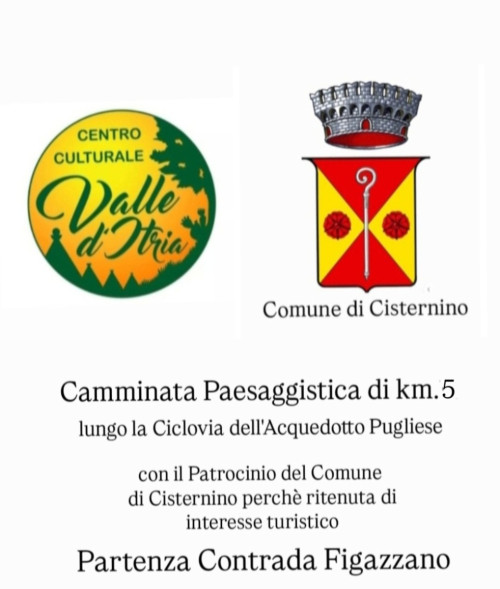 Camminata in natura
