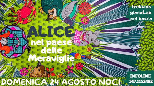 ALICE nel paese delle meraviglie