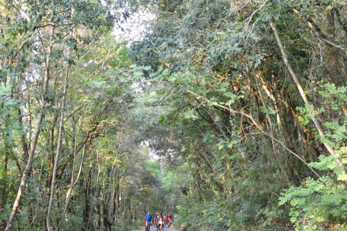 Le Passeggiate Poetiche Nel Parco Nazionale del Circeo