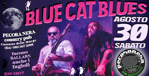 BLUE CAT BLUES in concerto