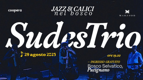 Jazz & Calici nel bosco - SudesTrio