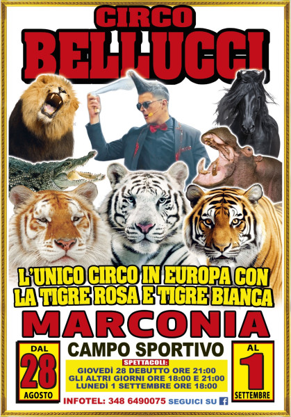 Circo Bellucci a Marconia con il suo nuovo show