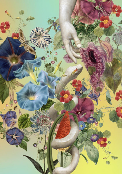 Austin Young del duo FALLEN FRUIT torna a Roma con un nuovo progetto site specific | BEAUTY!