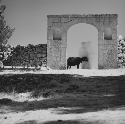 Artist Residency: Corte Dei Salentini