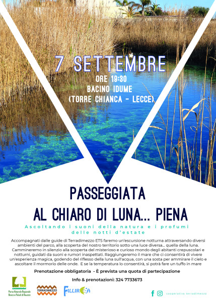 Passeggiata al chiaro di luna... piena