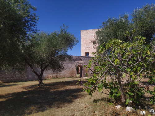 Visita guidata alla scoperta di Balsignano (Modugno)
