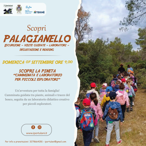 Scopri la pineta: "camminata e laboratorio per piccoli esploratori"