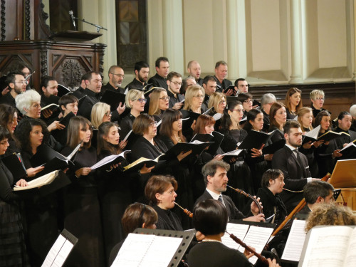 Al via il Cuneo Organ Festival 2025!