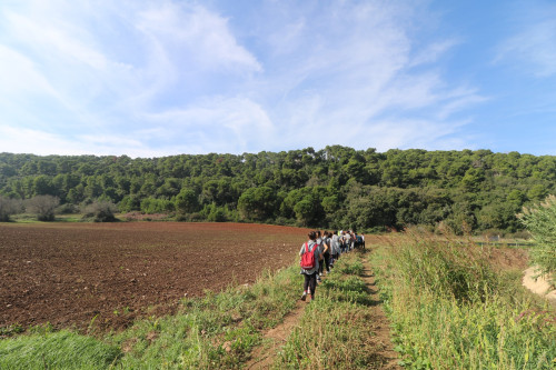 Donne in cammino Un viaggio nella memoria delle donne contadine per la parità di genere.