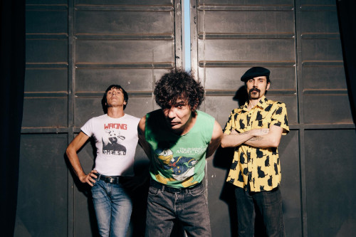 The Zen Circus live concert