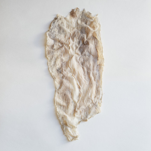 Vestire la terra: l'olivo come archivio del paesaggio Studio visit con Margherita Muriti