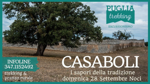 Casaboli