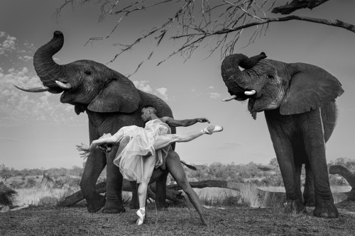 "Dancing with nature" di Ruggero Rosfer > 10 ottobre  6 dicembre 2025 > Fabbrica Eos, Milano