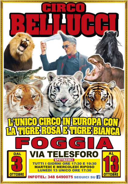 Il Circo Bellucci porta a Foggia le rarissime tigri rosa e bianca