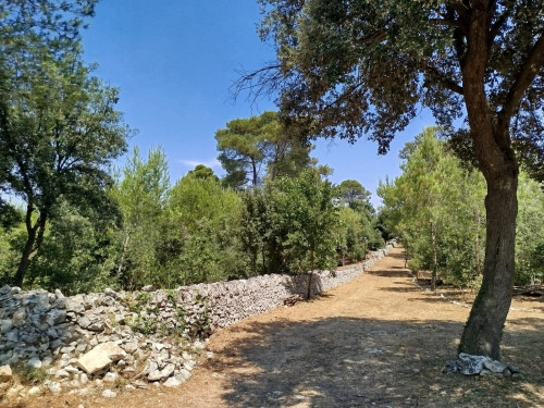 Con il linguaggio dei segni nel Bosco DEA SERIKAS