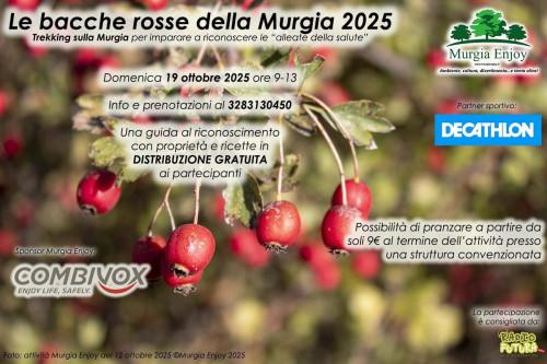Le bacche rosse della Murgia 2025