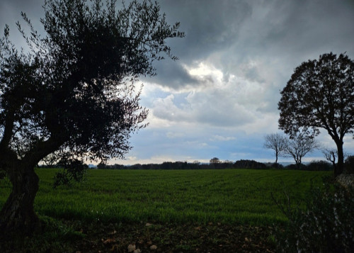 Passeggiata emozionale