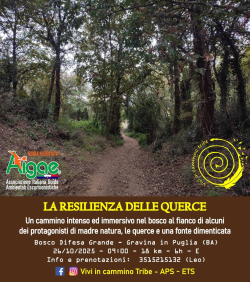 La resilienza delle querce, cammino Bosco difesa Grande Gravina in Puglia