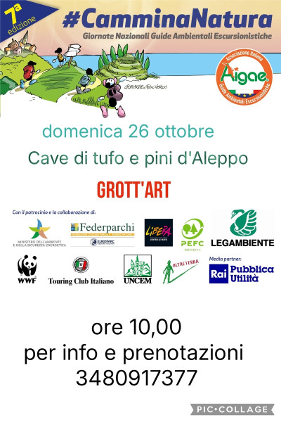 Cave di Tufo e pini d'Aleppo