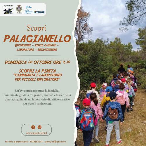 Scopri la pineta: "camminata e laboratorio per piccoli esploratori"