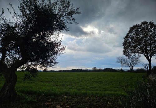 Camminata paesaggistica in Valle d'Itria