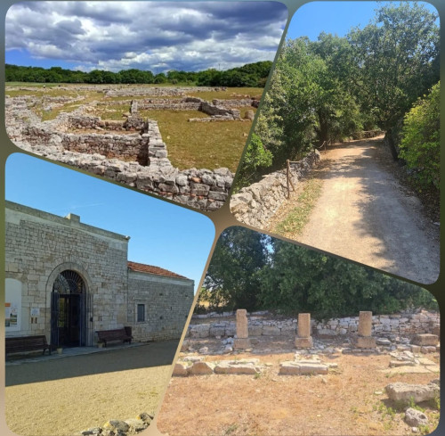 Passeggiata naturalistca/archeologica