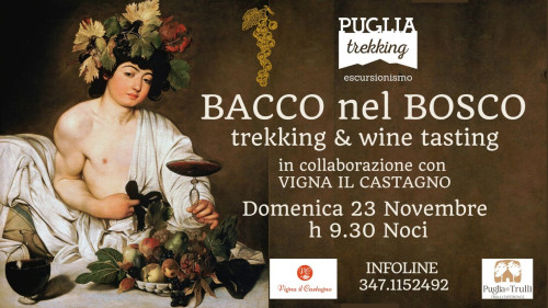 BACCO NEL BOSCO trekking & wine tasting
