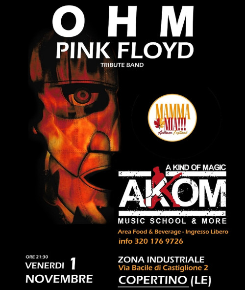 OHM PINK FLOYD live