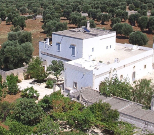 Gli ulivi secolari. Passeggiata emozionale.