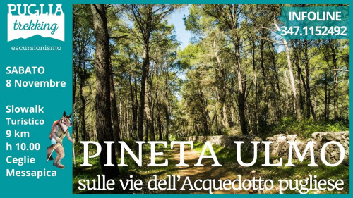 PINETA ULMO sulle vie dell'Acquedotto Pugliese