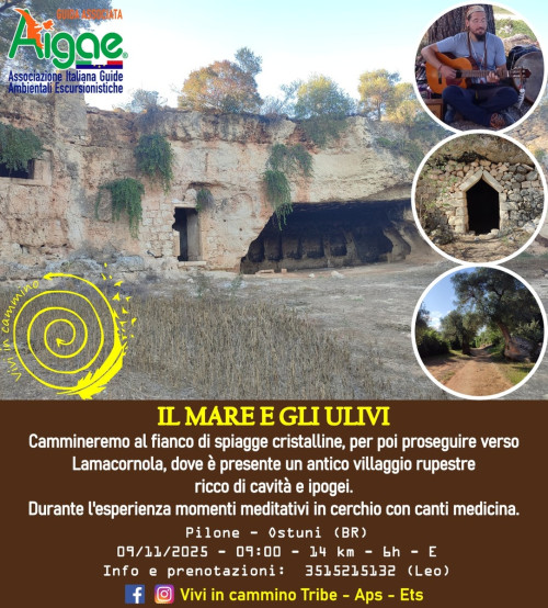 Il mare e gli ulivi, Lamacornola Escursione Cammino Hiking