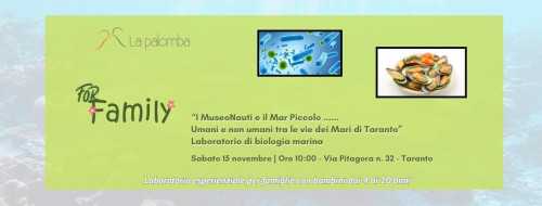 I MuseoNauti e il Mar Piccolo... .Umani e non umani tra le vie dei Mari di Taranto