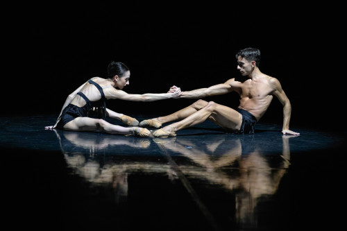 La vie en rose... Bolero