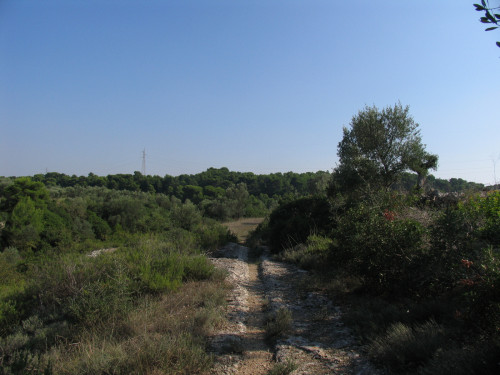 Escursione lungo la gravina di Lamastuola