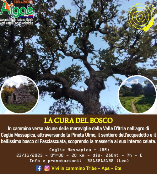 La cura del Bosco, cammino escursione, Valle D'Itria