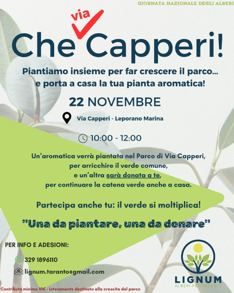 Una da piantare, una da donare.